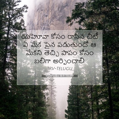 Picture 07 - లేవీకాండం 16:9 TELIRV - యెహోవా కోసం రాసిన - Bible Verse Picture