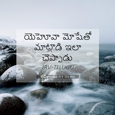 Picture 07 - లేవీకాండం 17:1 TELIRV - యెహోవా మోషేతో - Bible Verse Picture