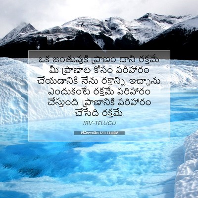 Picture 07 - లేవీకాండం 17:11 TELIRV - ఒక జంతువుకి - Bible Verse Picture