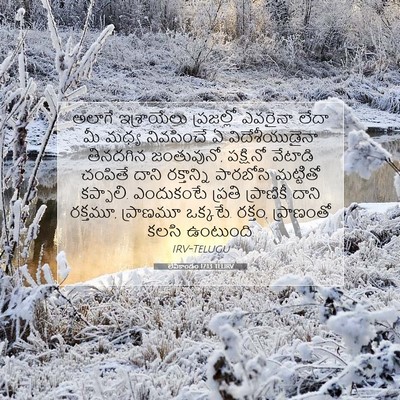 Picture 07 - లేవీకాండం 17:13 TELIRV - అలాగే ఇశ్రాయేలు - Bible Verse Picture