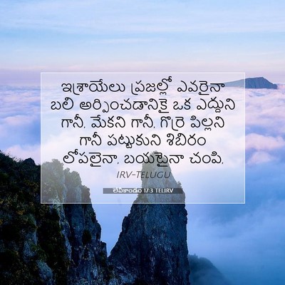 Picture 07 - లేవీకాండం 17:3 TELIRV - ఇశ్రాయేలు - Bible Verse Picture