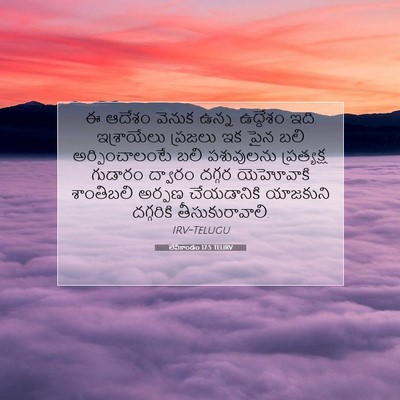 Picture 07 - లేవీకాండం 17:5 TELIRV - ఈ ఆదేశం వెనుక ఉన్న - Bible Verse Picture