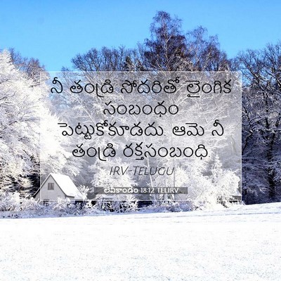 Picture 07 - లేవీకాండం 18:12 TELIRV - నీ తండ్రి సోదరితో - Bible Verse Picture