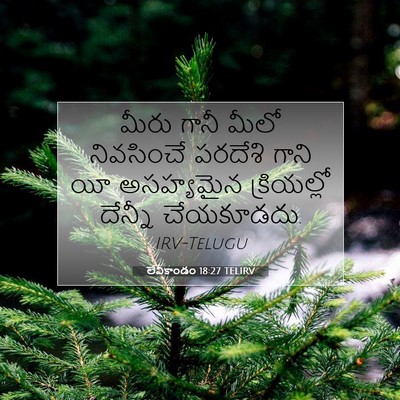 Picture 07 - లేవీకాండం 18:27 TELIRV - మీరు గానీ మీలో - Bible Verse Picture