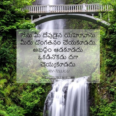 Picture 07 - లేవీకాండం 19:11 TELIRV - నేను మీ దేవుడైన - Bible Verse Picture