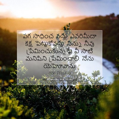 Picture 07 - లేవీకాండం 19:18 TELIRV - పగ సాధించ వద్దు. - Bible Verse Picture