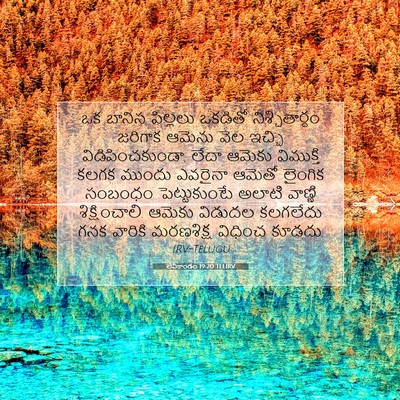 Picture 07 - లేవీకాండం 19:20 TELIRV - ఒక బానిస పిల్లలు - Bible Verse Picture