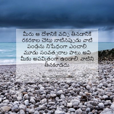 Picture 07 - లేవీకాండం 19:23 TELIRV - మీరు ఆ దేశానికి - Bible Verse Picture