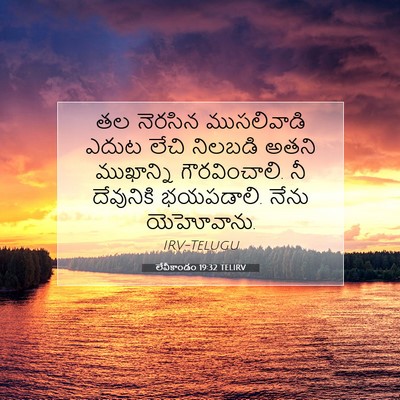 Picture 07 - లేవీకాండం 19:32 TELIRV - తల నెరసిన - Bible Verse Picture