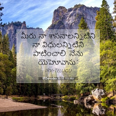 Picture 07 - లేవీకాండం 19:37 TELIRV - మీరు నా - Bible Verse Picture