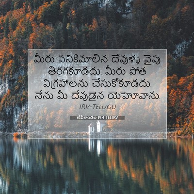 Picture 07 - లేవీకాండం 19:4 TELIRV - మీరు పనికిమాలిన - Bible Verse Picture