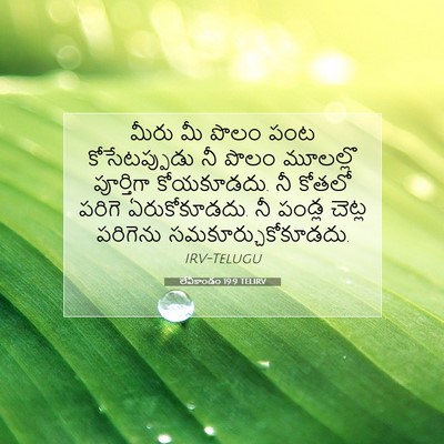Picture 07 - లేవీకాండం 19:9 TELIRV - మీరు మీ పొలం పంట - Bible Verse Picture