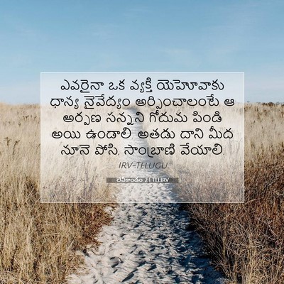 Picture 07 - లేవీకాండం 2:1 TELIRV - ఎవరైనా ఒక వ్యక్తి - Bible Verse Picture