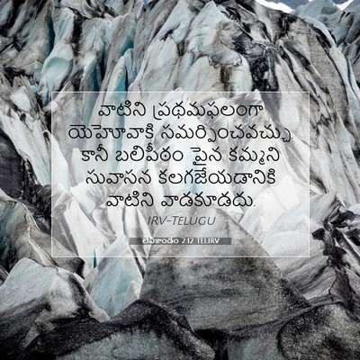 Picture 07 - లేవీకాండం 2:12 TELIRV - వాటిని ప్రథమఫలంగా - Bible Verse Picture