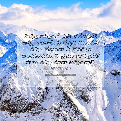 Picture 07 - లేవీకాండం 2:13 TELIRV - నువ్వు అర్పించే - Bible Verse Picture