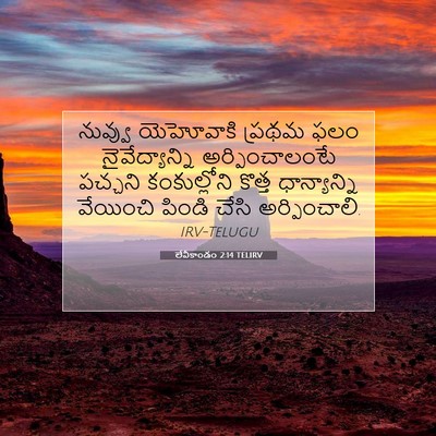 Picture 07 - లేవీకాండం 2:14 TELIRV - నువ్వు యెహోవాకి - Bible Verse Picture