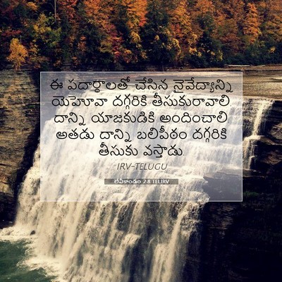 Picture 07 - లేవీకాండం 2:8 TELIRV - ఈ పదార్ధాలతో - Bible Verse Picture