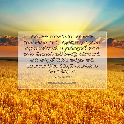 Picture 07 - లేవీకాండం 2:9 TELIRV - తరువాత యాజకుడు - Bible Verse Picture