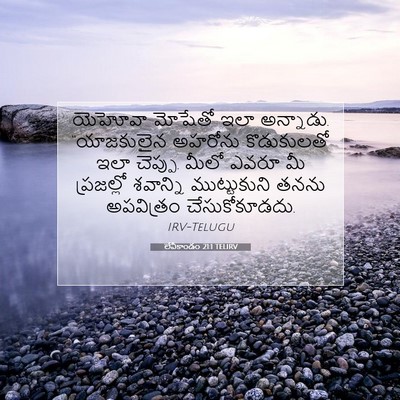 Picture 07 - లేవీకాండం 21:1 TELIRV - యెహోవా మోషేతో ఇలా - Bible Verse Picture