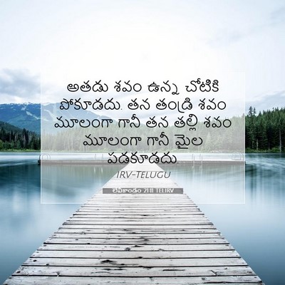 Picture 07 - లేవీకాండం 21:11 TELIRV - అతడు శవం ఉన్న - Bible Verse Picture