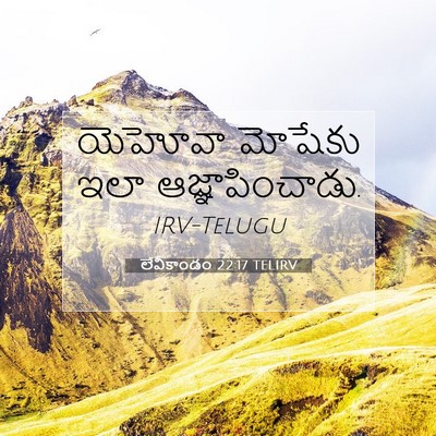 Picture 07 - లేవీకాండం 22:17 TELIRV - యెహోవా మోషేకు ఇలా - Bible Verse Picture