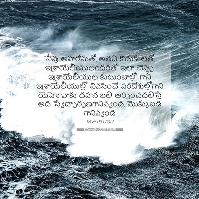 Picture 07 - లేవీకాండం 22:18 TELIRV - “నీవు అహరోనుతో, - Bible Verse Picture