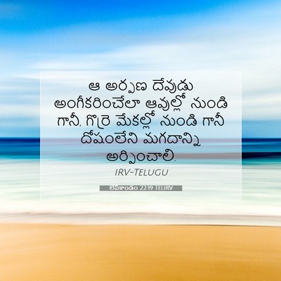 Picture 07 - లేవీకాండం 22:19 TELIRV - ఆ అర్పణ దేవుడు - Bible Verse Picture