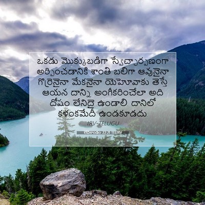 Picture 07 - లేవీకాండం 22:21 TELIRV - ఒకడు మొక్కుబడిగా - Bible Verse Picture