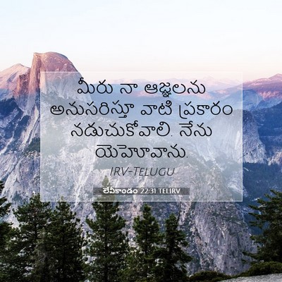Picture 07 - లేవీకాండం 22:31 TELIRV - మీరు నా ఆజ్ఞలను - Bible Verse Picture