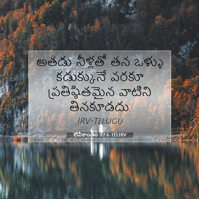 Picture 07 - లేవీకాండం 22:6 TELIRV - అతడు నీళ్లతో తన - Bible Verse Picture
