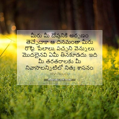 Picture 07 - లేవీకాండం 23:14 TELIRV - మీరు మీ దేవునికి - Bible Verse Picture