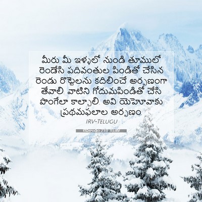Picture 07 - లేవీకాండం 23:17 TELIRV - మీరు మీ ఇళ్ళలో - Bible Verse Picture