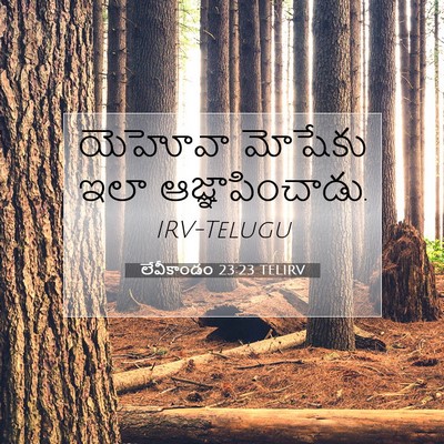 Picture 07 - లేవీకాండం 23:23 TELIRV - యెహోవా మోషేకు ఇలా - Bible Verse Picture