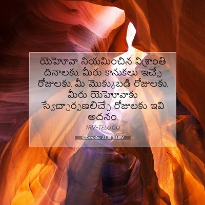 Picture 07 - లేవీకాండం 23:38 TELIRV - యెహోవా నియమించిన - Bible Verse Picture