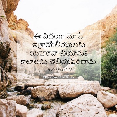 Picture 07 - లేవీకాండం 23:44 TELIRV - ఈ విధంగా మోషే - Bible Verse Picture