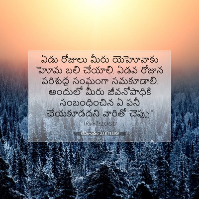 Picture 07 - లేవీకాండం 23:8 TELIRV - ఏడు రోజులు మీరు - Bible Verse Picture