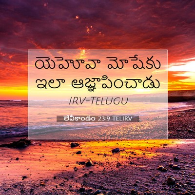 Picture 07 - లేవీకాండం 23:9 TELIRV - యెహోవా మోషేకు ఇలా - Bible Verse Picture