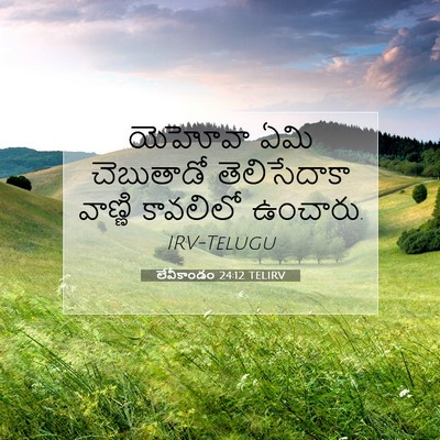 Picture 07 - లేవీకాండం 24:12 TELIRV - యెహోవా ఏమి - Bible Verse Picture