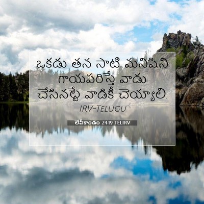 Picture 07 - లేవీకాండం 24:19 TELIRV - ఒకడు తన సాటి - Bible Verse Picture
