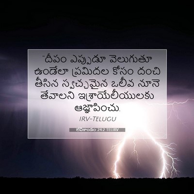 Picture 07 - లేవీకాండం 24:2 TELIRV - “దీపం ఎప్పుడూ - Bible Verse Picture