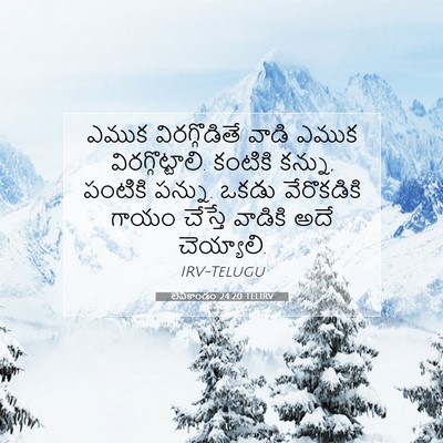 Picture 07 - లేవీకాండం 24:20 TELIRV - ఎముక విరగ్గొడితే - Bible Verse Picture