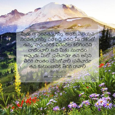Picture 07 - లేవీకాండం 25:10 TELIRV - మీరు ఆ - Bible Verse Picture