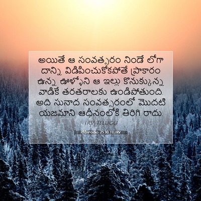 Picture 07 - లేవీకాండం 25:30 TELIRV - అయితే ఆ సంవత్సరం - Bible Verse Picture
