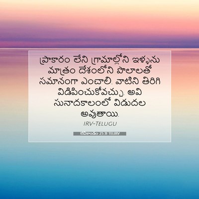 Picture 07 - లేవీకాండం 25:31 TELIRV - ప్రాకారం లేని - Bible Verse Picture