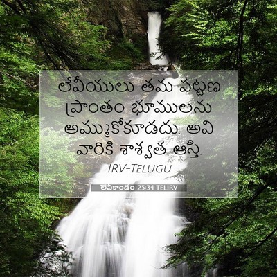 Picture 07 - లేవీకాండం 25:34 TELIRV - లేవీయులు తమ పట్టణ - Bible Verse Picture