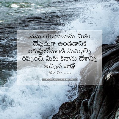 Picture 07 - లేవీకాండం 25:38 TELIRV - నేను యెహోవాను. - Bible Verse Picture