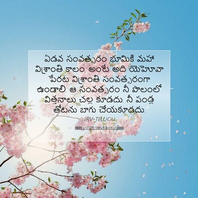 Picture 07 - లేవీకాండం 25:4 TELIRV - ఏడవ సంవత్సరం - Bible Verse Picture