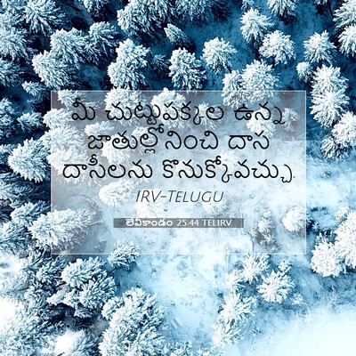 Picture 07 - లేవీకాండం 25:44 TELIRV - మీ చుట్టుపక్కల - Bible Verse Picture