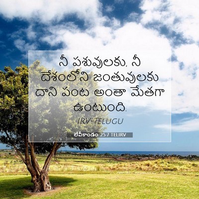 Picture 07 - లేవీకాండం 25:7 TELIRV - నీ పశువులకు, నీ - Bible Verse Picture