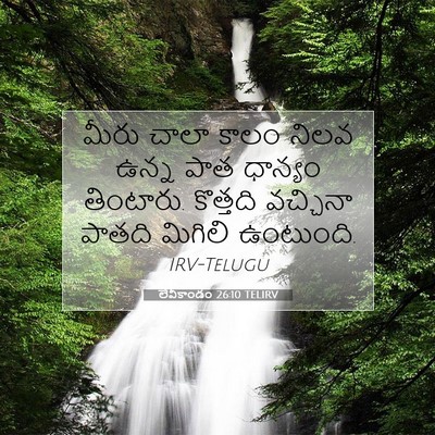 Picture 07 - లేవీకాండం 26:10 TELIRV - మీరు చాలా కాలం - Bible Verse Picture